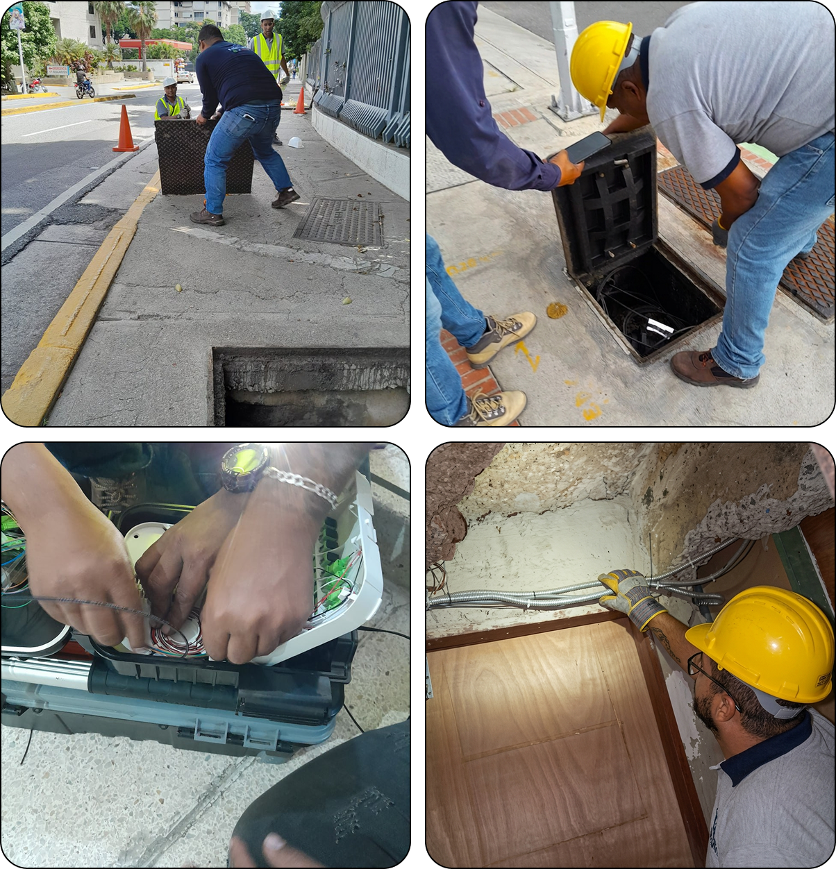 Inspección